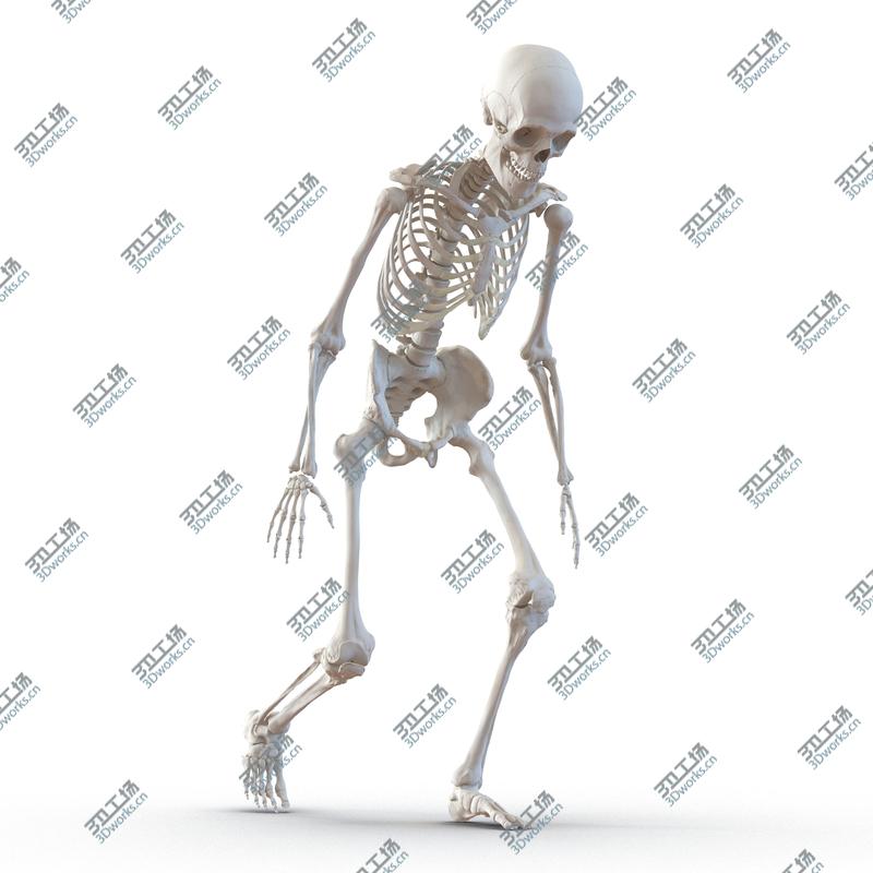 images/goods_img/20210113/Human Male Skeleton Rigged for Cinema 4D/5.jpg